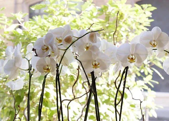 Hotel Korner Louvre Paris